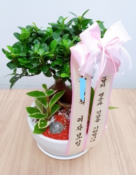 oԲ ۵ ۻԴϴ