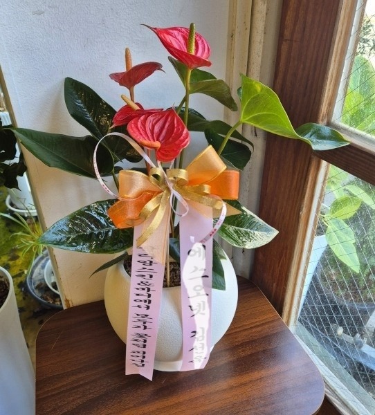 ��0������ �ֹ��Ͻ� ��ǰ�Դϴ�